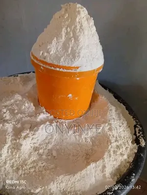Beans Flour