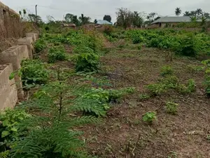 Half Plots for Sale in Palms Garden, Oluyole Ext