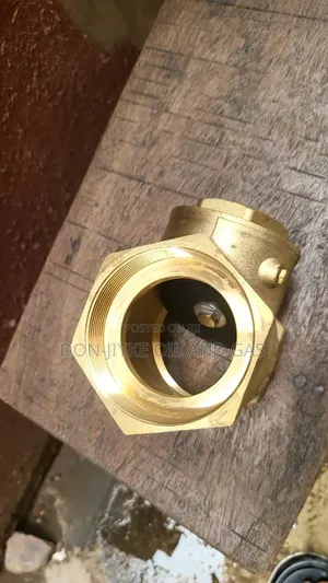 Brass Swing Check Valve,