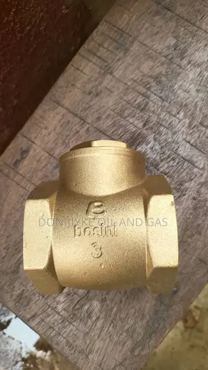 Brass Swing Check Valve,