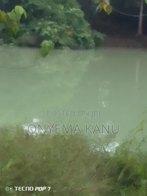 Waterfront Land for Fish Farming.