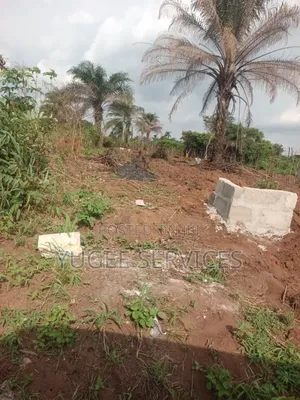 2 Plots for Sale in Owerri