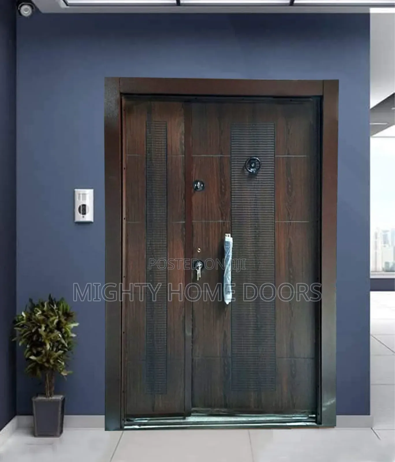 Elegant Classic Door