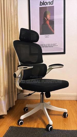 Admin Executive Office Chair (Ergonomic)