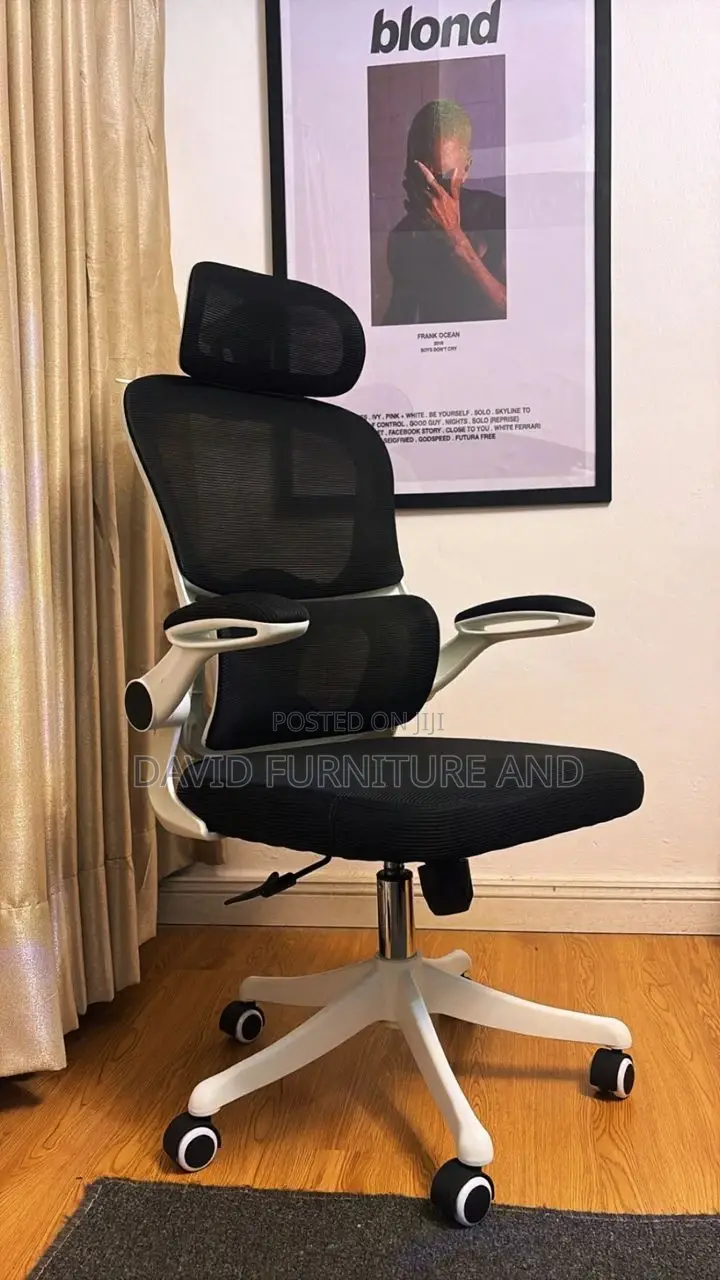 Admin Executive Office Chair (Ergonomic)