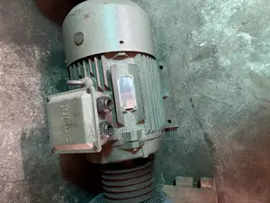 Jumbo Electric Motor