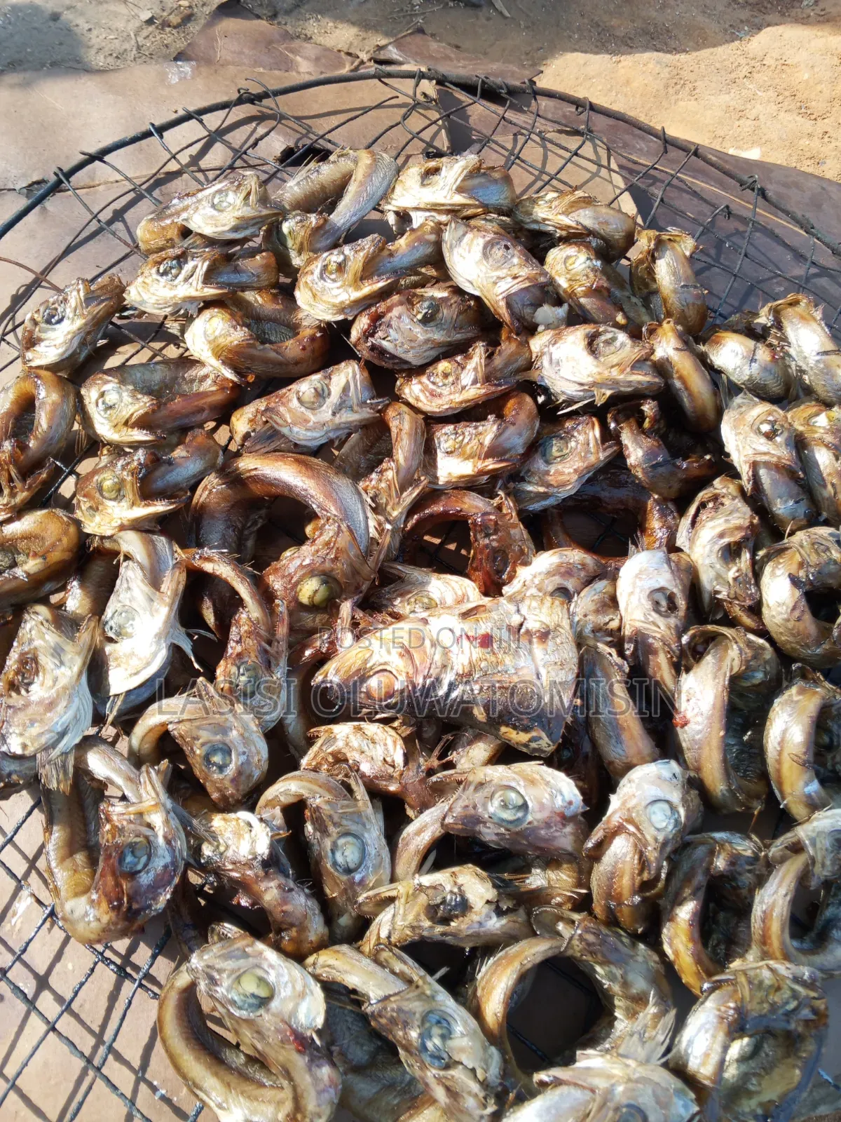 Dried Fresh Bushmeat And Dried Panla Fish