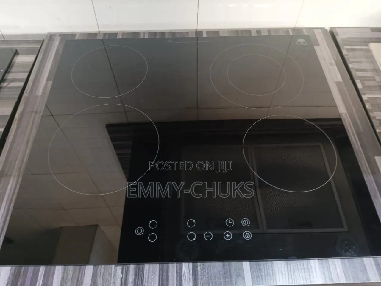 Luxury Built in 4 Burner Electric