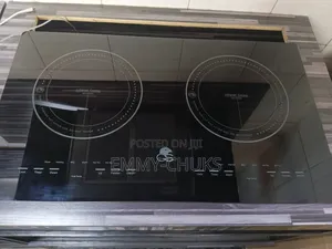 Luxury Built-in 2 Burner Electric