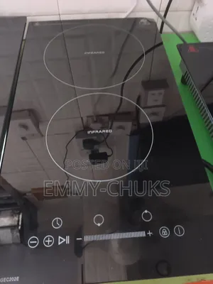 Built-in Gs 2 Burner Electric Cabinet