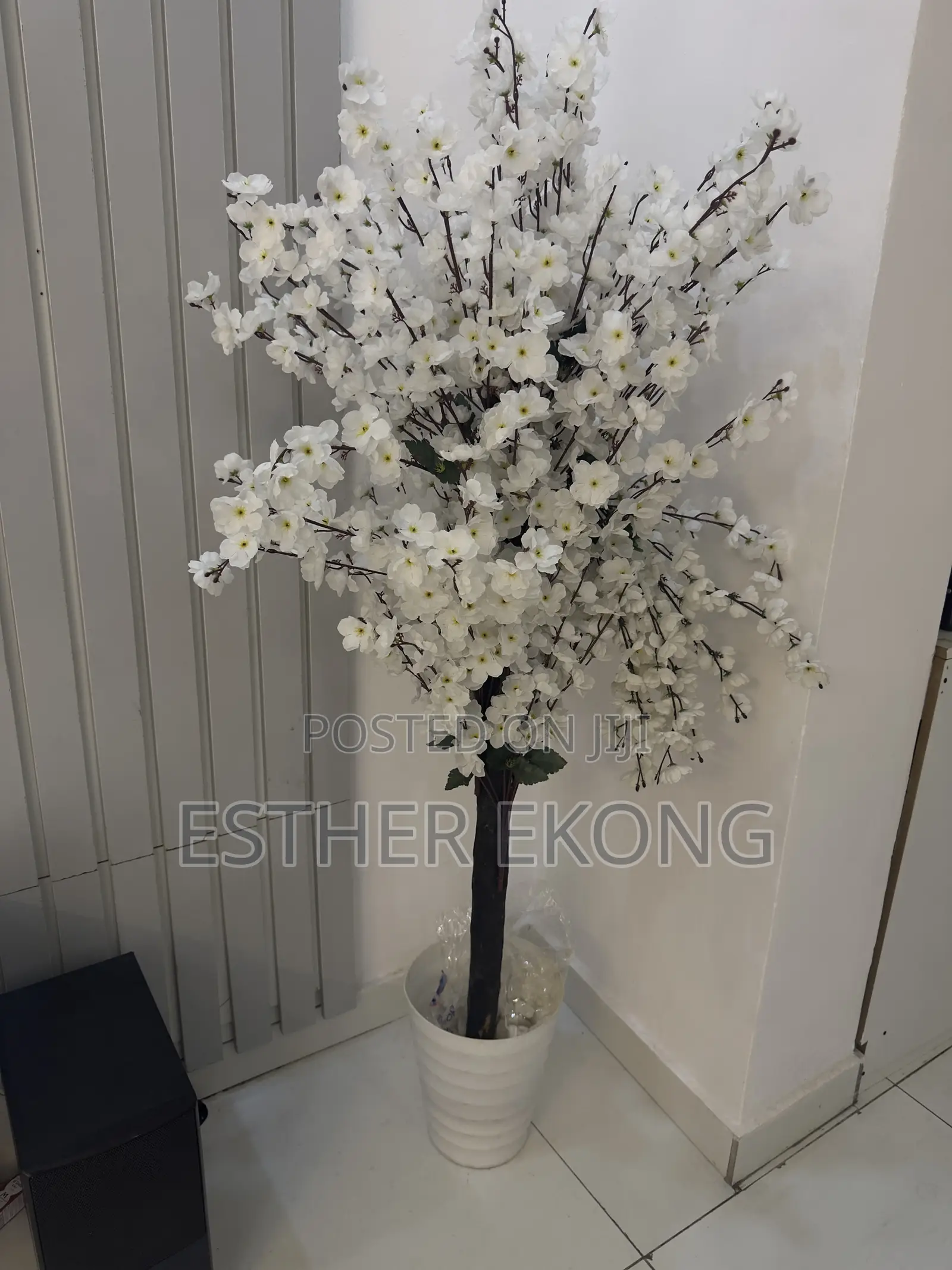 Flower and Vase