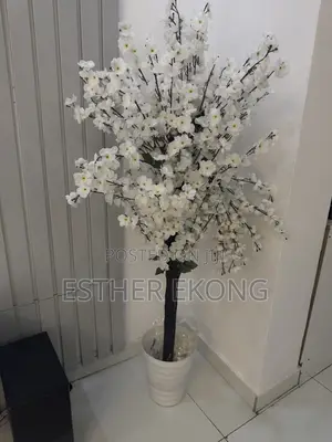 Flower and Vase