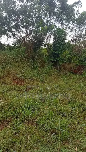 15 Plots At Rock Bottom Price.