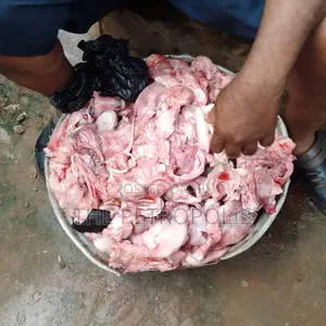 Dogs and Cats Leftover Meats