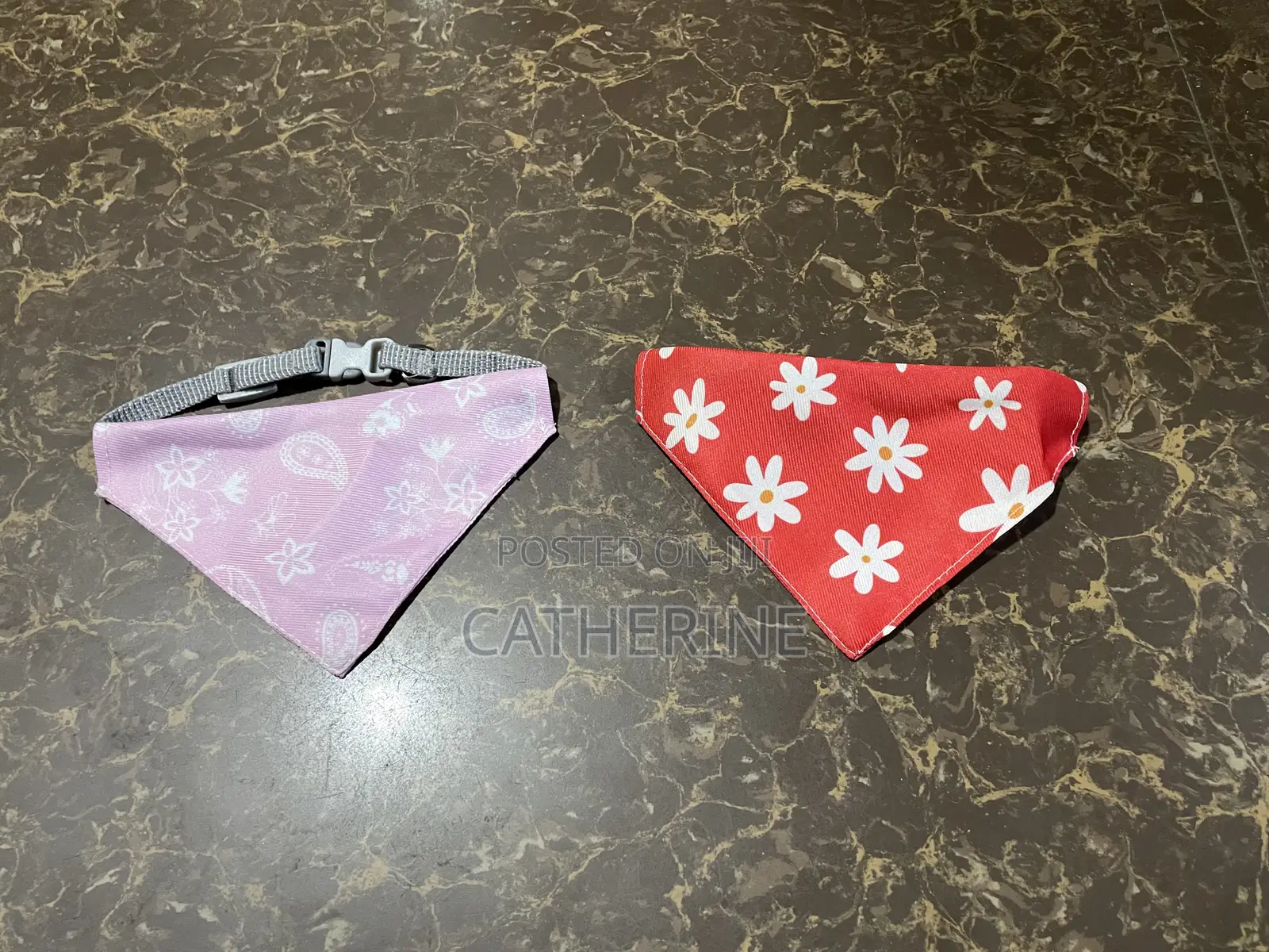 Pets Accessories