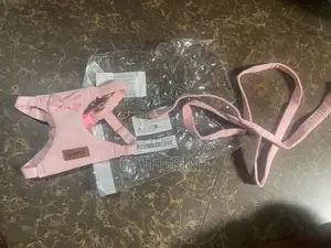 Pets Accessories
