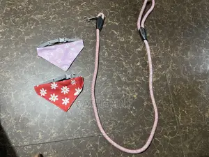 Pets Accessories