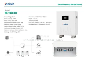 8kwh 24v White Face Haisic Lithium Battery