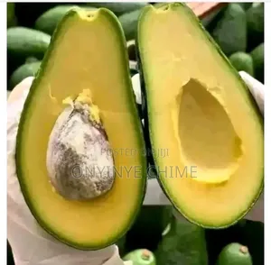 Cardinal Avocado