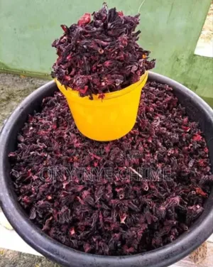 Zobo Seed for Planting