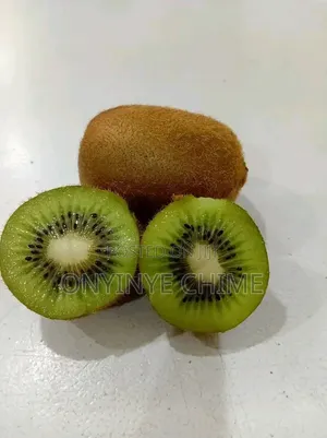 Kiwi Seedlings