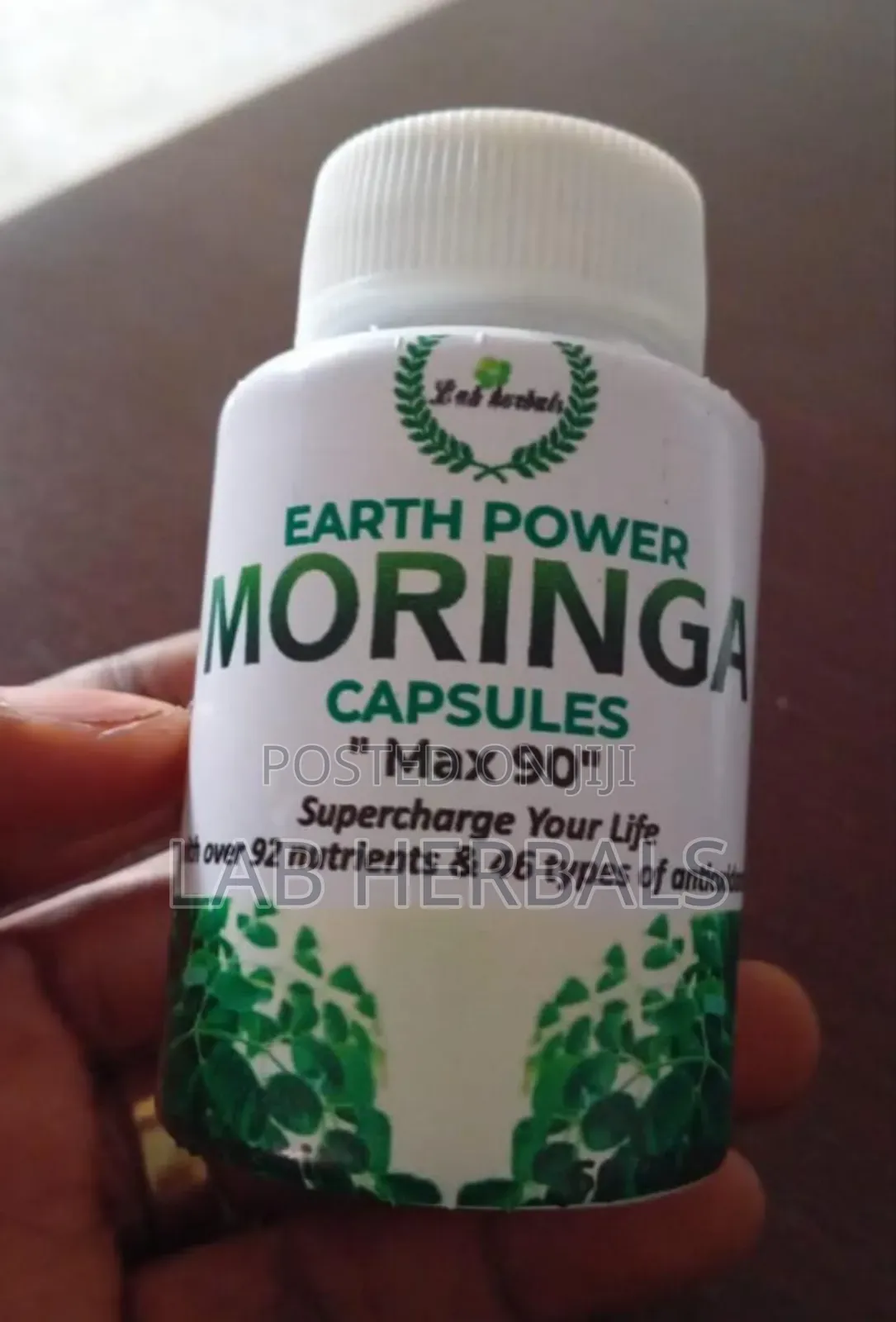 Moringa Herbal Caosules