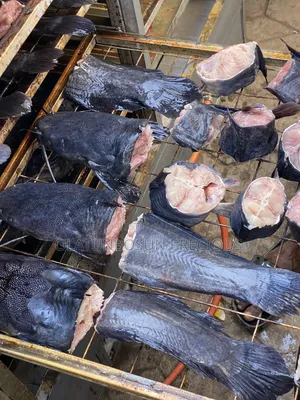 Cutlet Dried Catfish