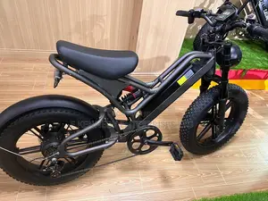Dp 2009 Fat Tire Electric E Bike Bicycle