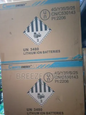 Cworth 100amp Lithium Batteries