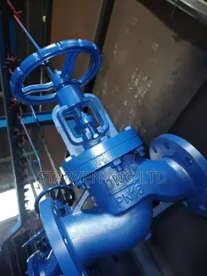 Globe Steam Valves