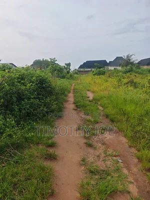 50 by 100 at Obagie Community