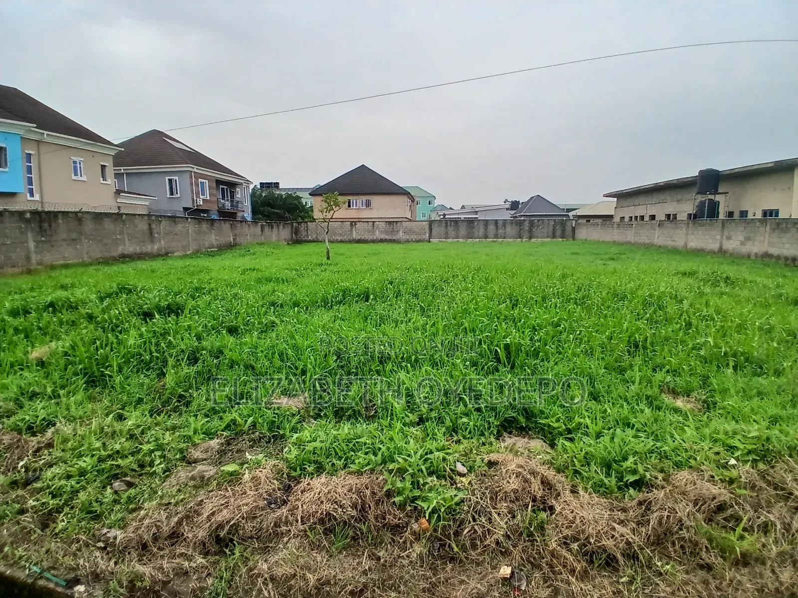 Standard Plot of Land