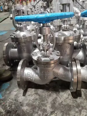 Stainless Steel Gate and Globe Valves
