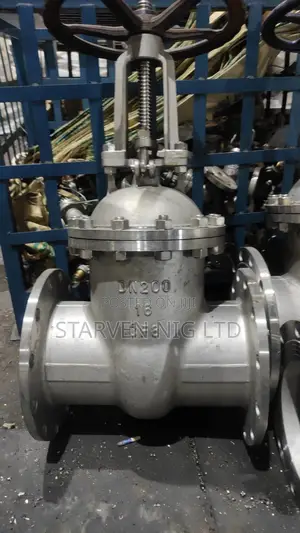 Stainless Steel Gate and Globe Valves