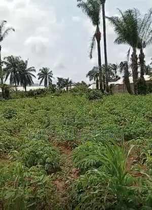 Aba Land for Sale