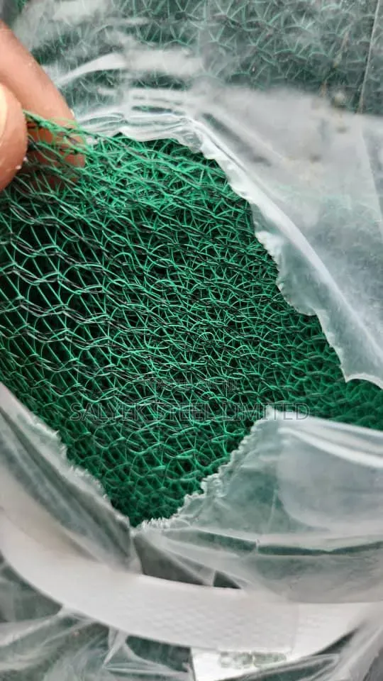 Scaffolding Net