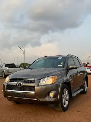 Toyota RAV4 2010 Brown