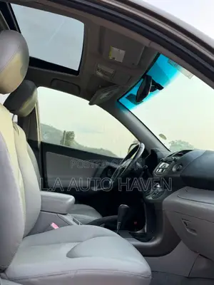 Toyota RAV4 2010 Brown