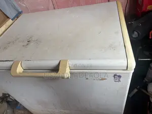 Good Freezer Working Like New