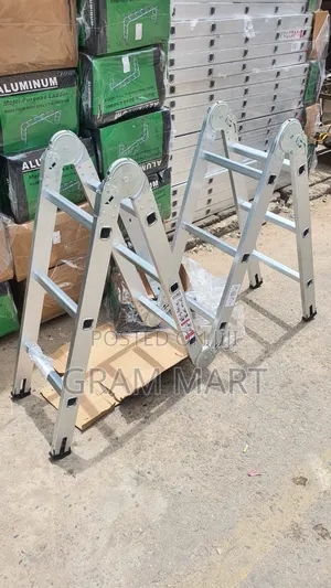 Telescopic (Extendable) Aluminum Ladder.