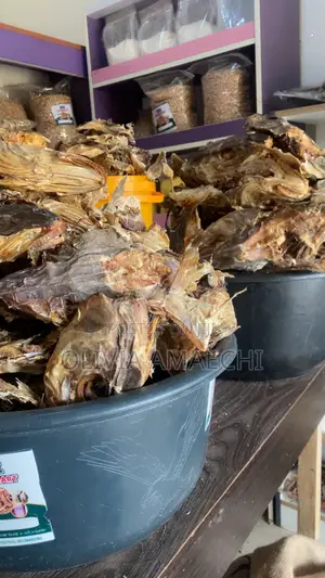 Stockfish Head