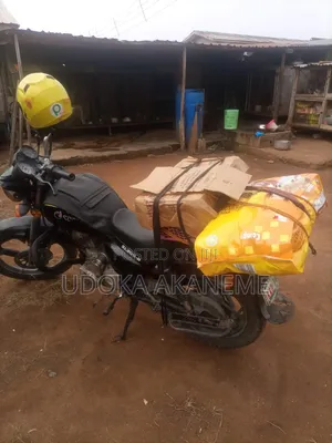 Compy Dry Food