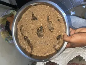 100% Organic Food for Dog