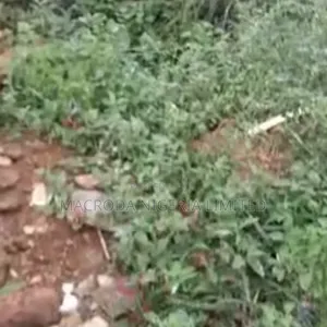 3126sqm Land Available for Sale