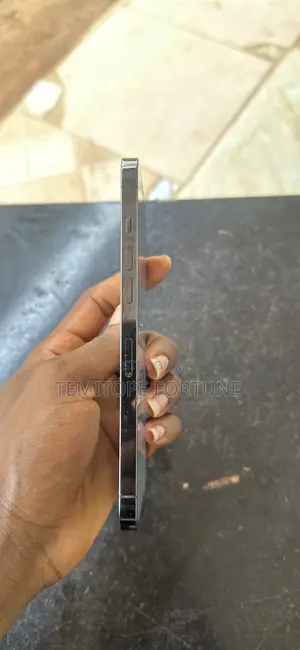 Apple iPhone 12 Pro Max 256 GB Gray