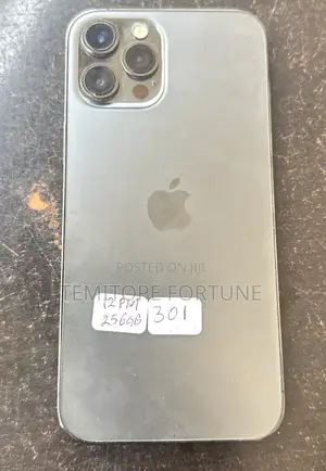 Apple iPhone 12 Pro Max 256 GB Gray