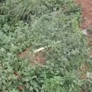 Well Located Land Available for Sale