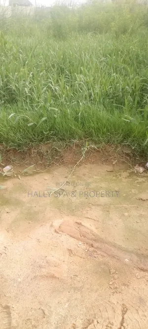 Full Plot of Land for Sale at Ibafo