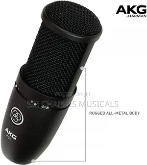 Akg P120 Condenser Studio Microphone