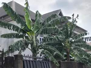 6bdrm Duplex in Obio-Akpor for sale